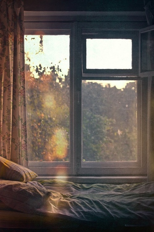 tumblr_mqht163nkv1sr46kbo1_500