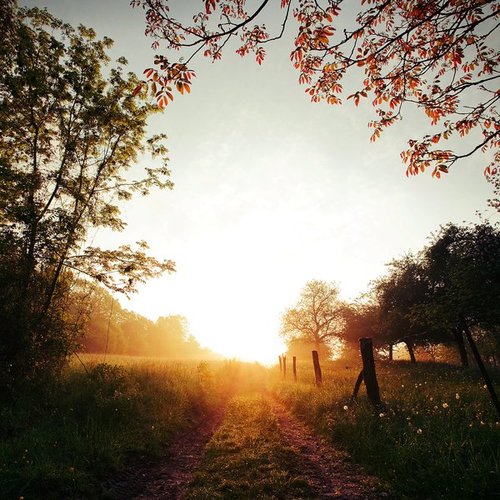 tumblr_mqcmho06r11re3kvuo1_500