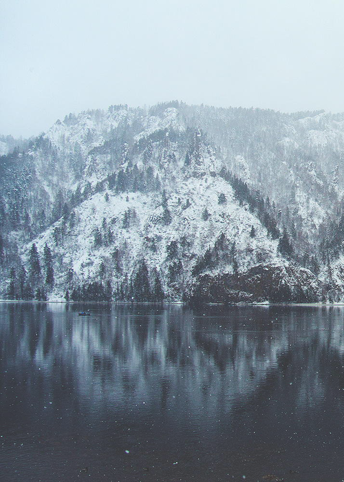 tumblr_muwzhlY1gc1rqx86wo1_r1_500