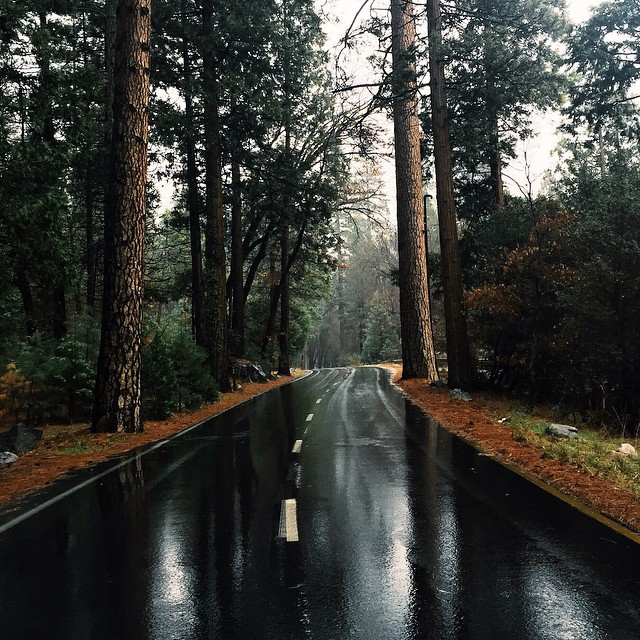 tumblr_nhimbqfnyO1rpwhvdo1_1280