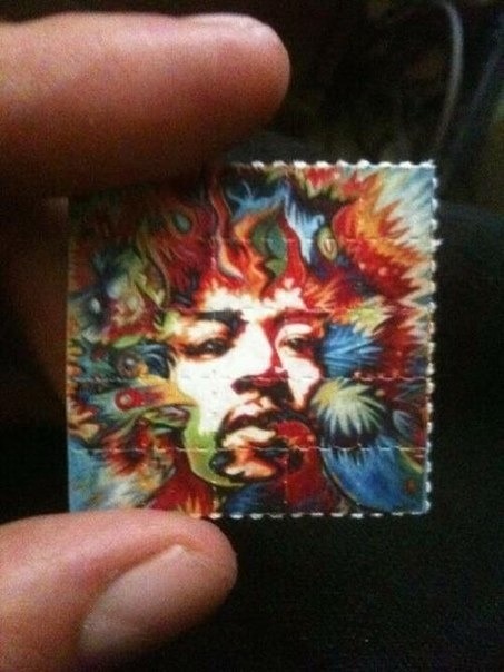 tumblr_mp02inp7n91srqzwwo1_500