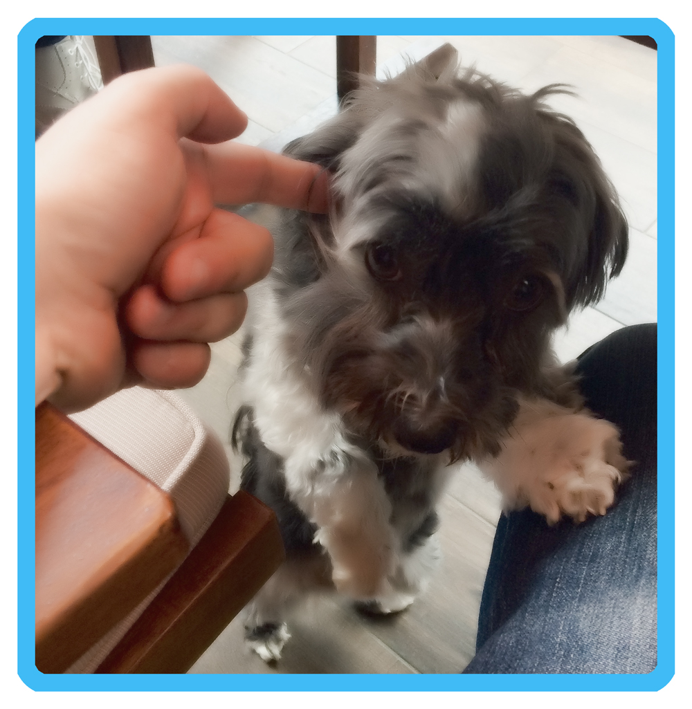 PD_kuca