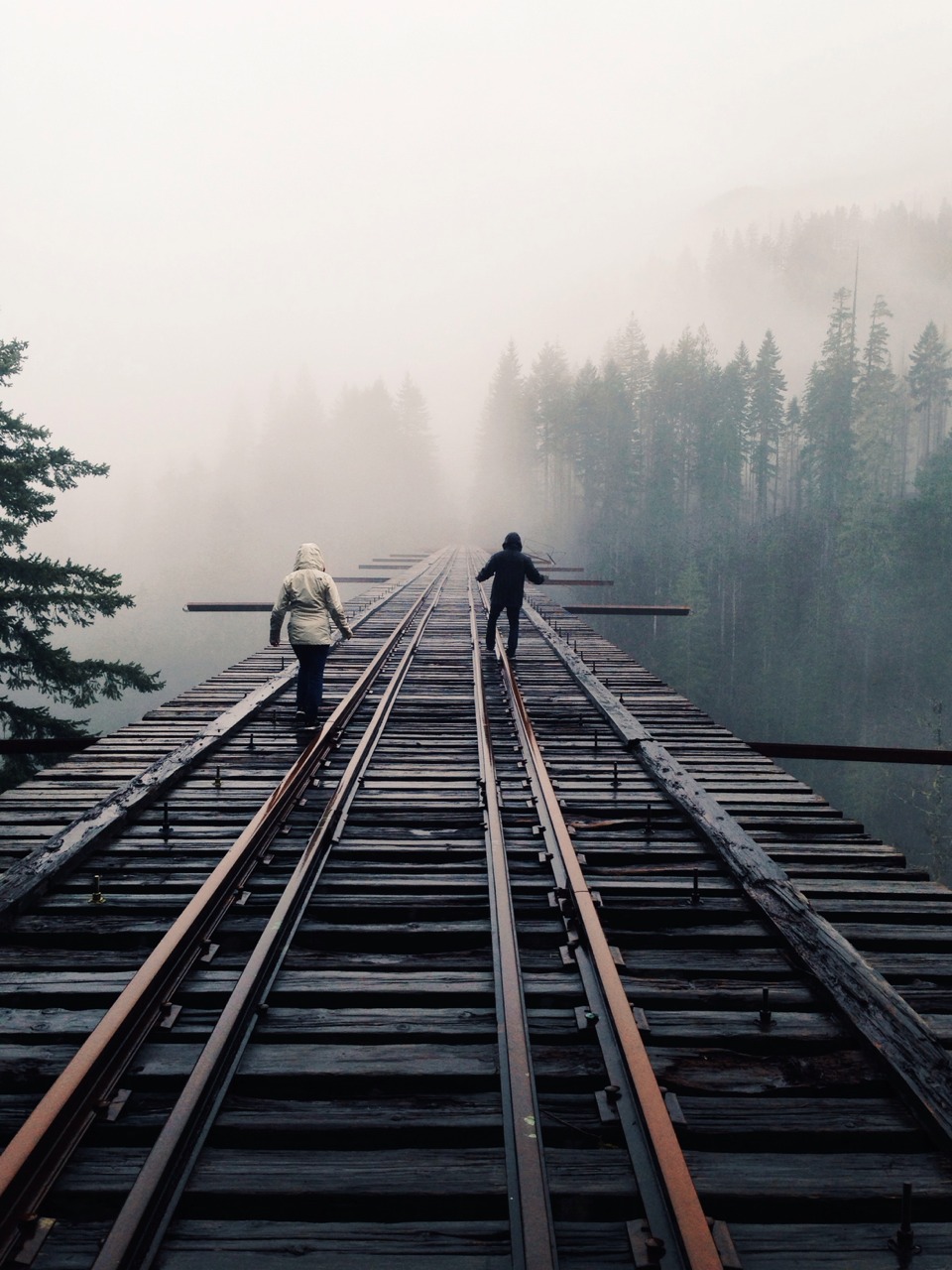 tumblr_n26qz5TVtR1riibspo1_1280