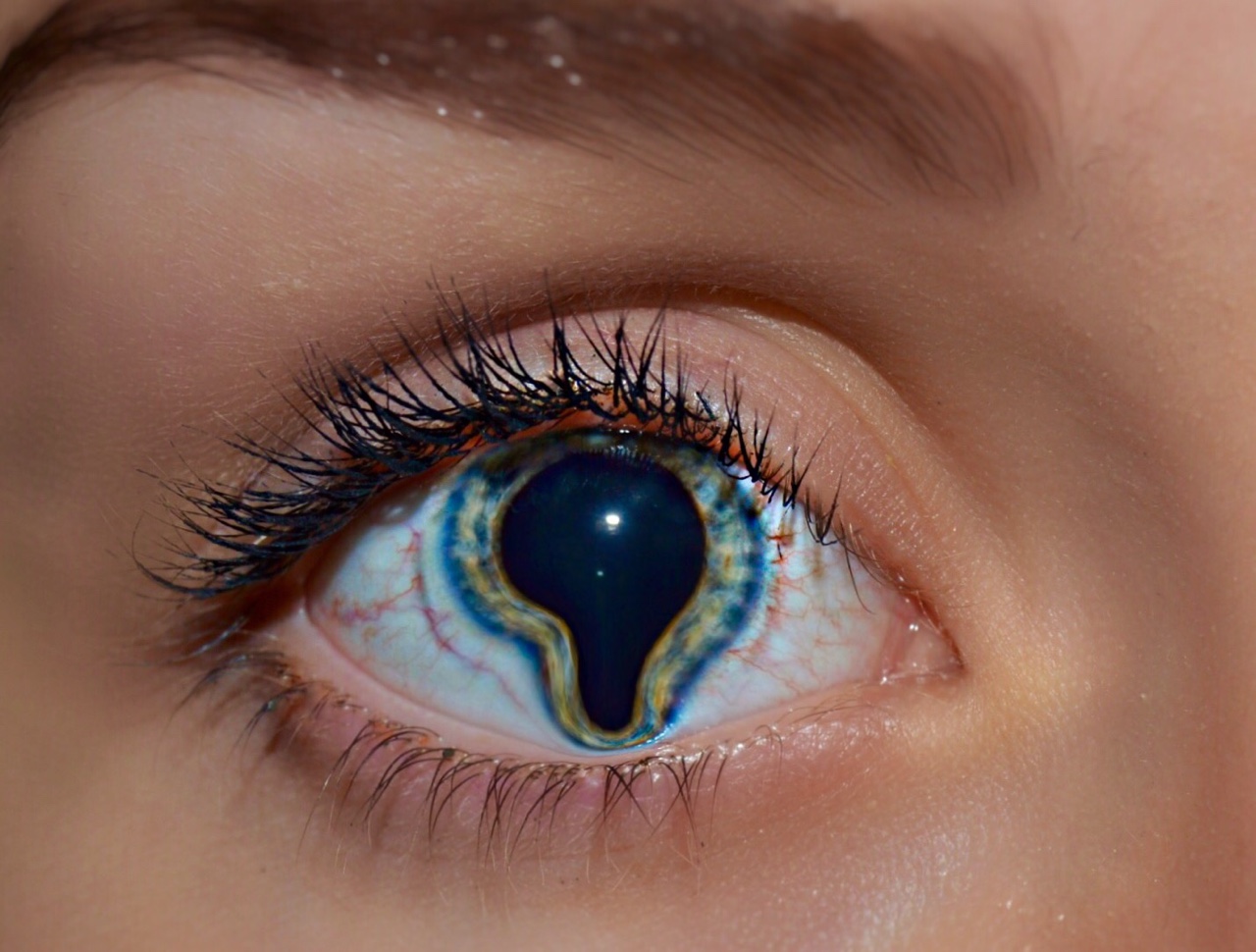 tumblr_ntifmpQXez1ta000ko1_1280