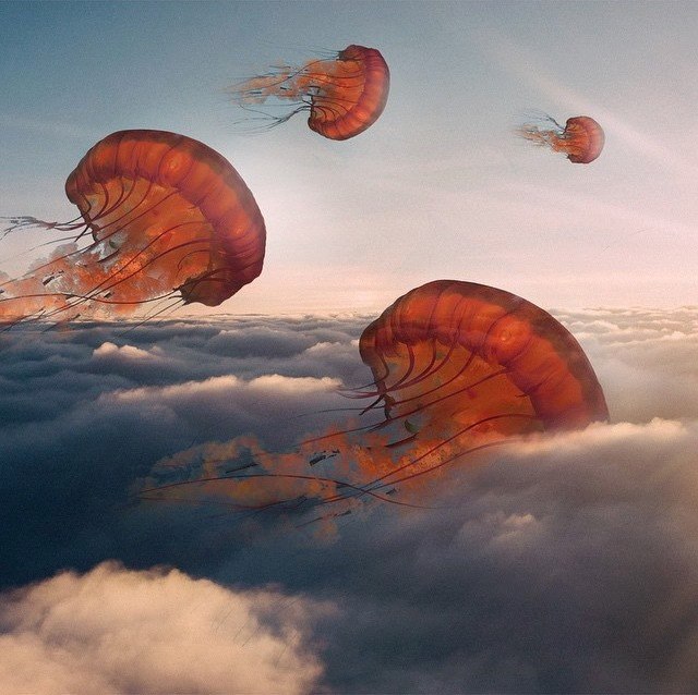 tumblr_nr1ba408Sb1s63gs8o1_1280