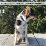 PD-Piano-night-mix-8-ver-2