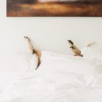 tumblr_p5sq6fH5e51r9164to1_1280
