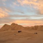 tumblr_p3fidkCK9t1vnm7bio1_1280