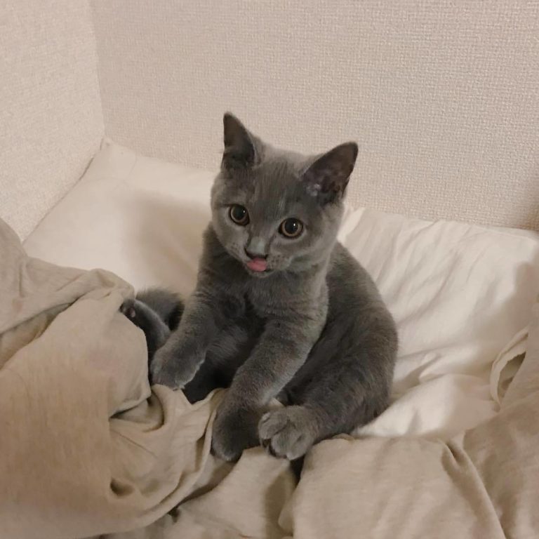 tumblr_p2ckn1guWX1w6mvcgo1_1280