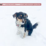 PD-Piano-night-mix-13