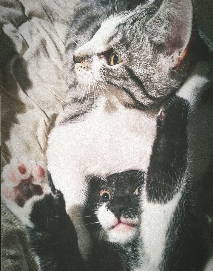 tumblr_pm5vgyC7gp1qdqlnso1_1280