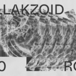 FOLLAKZOID BANNER