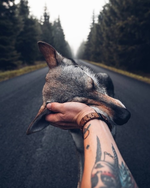 tumblr_9a5df9da3645213427a5c78f64db62a8_b405f28a_500
