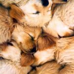 tumblr_modwvvWEPl1qh59r5o1_1280