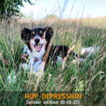 hopdepression22