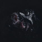 proto tip ARTWORK LP copy