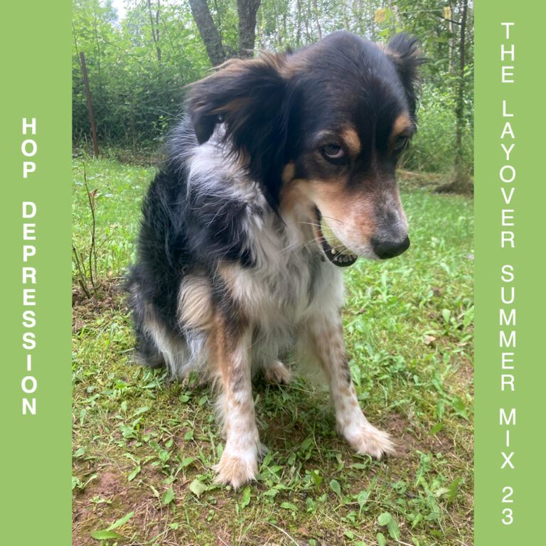 hopdepression 23 copy