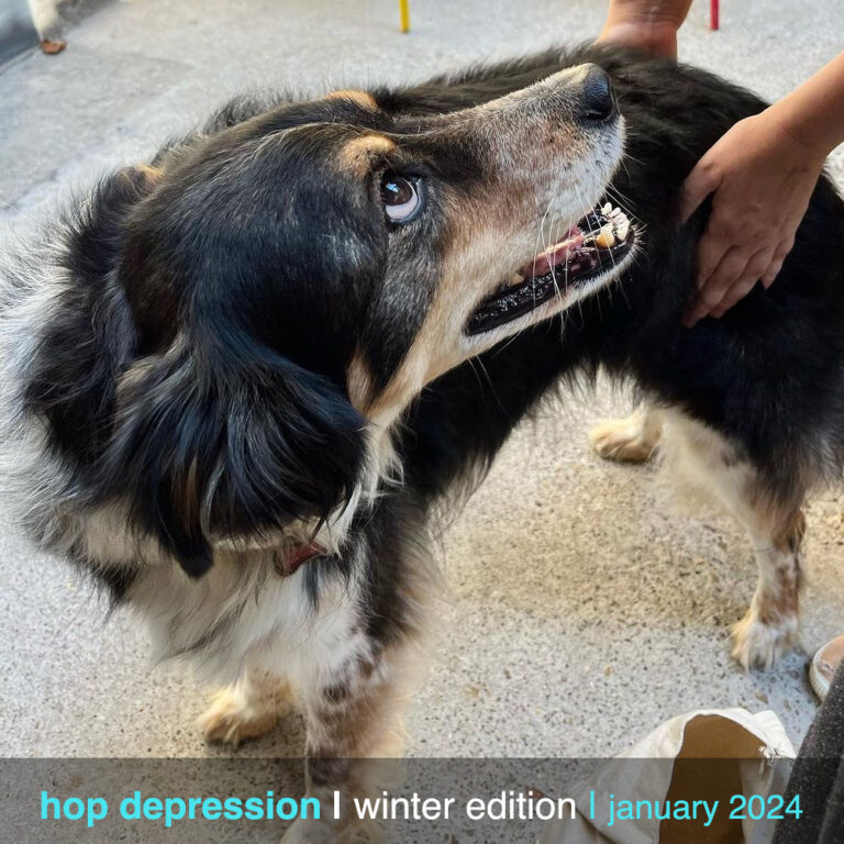 hopdepression 2024 1