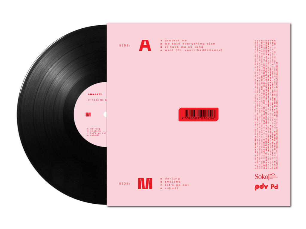 Amnasti-It_Took_Me_so_Long-02-_back-vinyl_mock_up-4x3