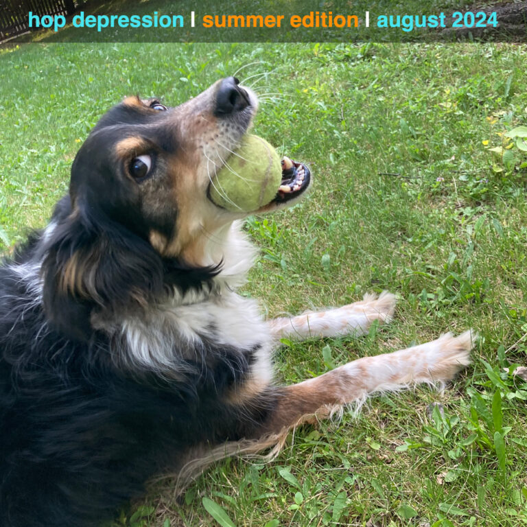 hopdepression summer 2024