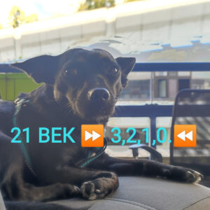 21 vek EP 3,2,1,0.